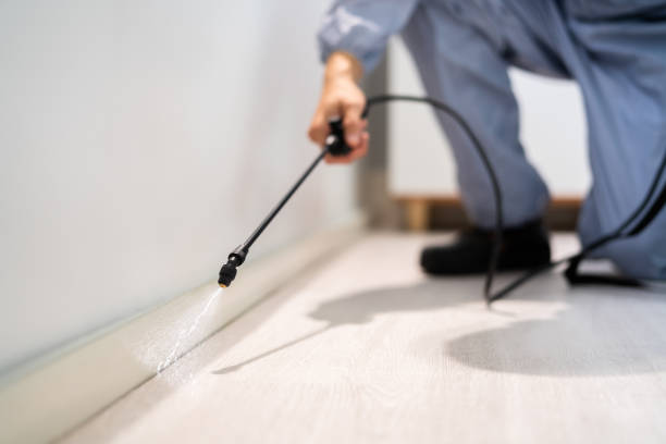 Bed Bug Pre-Treatment Preparation Assessment in New Palestine