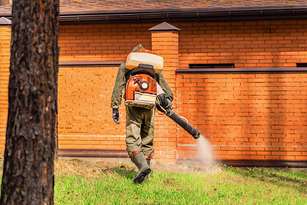 Bed Bug Clearance Verification and Documentation in New Palestine
